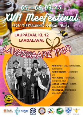 Lavassaare Trio kontsert